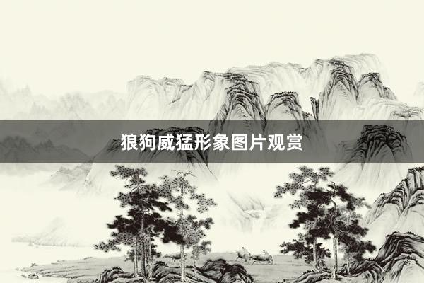 狼狗威猛形象图片观赏